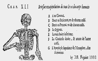 Bases de l'Anatomie (Les) atari screenshot